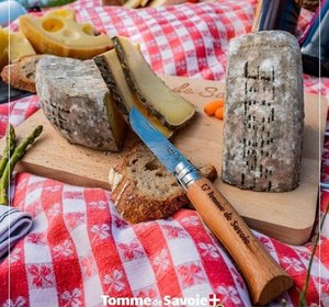 Tomme de Savoie