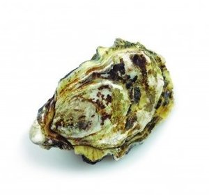 Franse Creusen Brise Miche M3