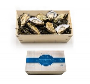 Ierse Creus Rock/ Wild Atlantic M3