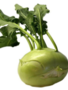 Koolrabi