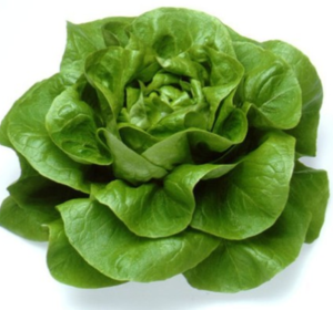 Kropsla