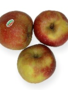 Boskoop appel 1kg