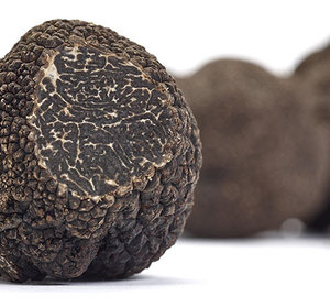 Wintertruffel