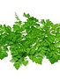 Kervel schaal 100gr