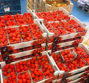 aardbeien  (Spaanse)