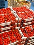 aardbeien  (Spaanse)
