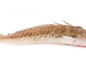 Pieterman filet met vel 160gr