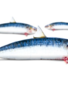 Sardines heel, gekuist +/- 120gr