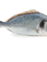 Dorade Royal gekuist met schubben +/- 350gr