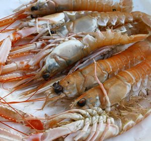 Langoustine vers (1kg)