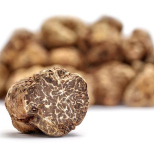 Bianchetto Truffel