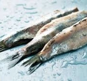 Verse Handgekuiste Maatjes (met gesnipperde ui)