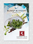 Blinq Blossom (20st)