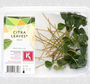 Citra Leaves (schaaltje 25st)