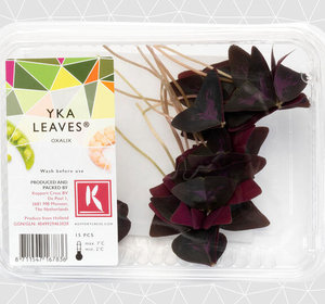 Yka Leaves (schaaltje 15st)