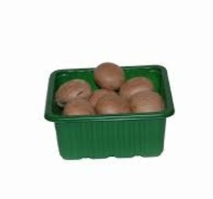 Kastanjechampignons 250gr