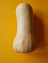 Butternut Pompoen  +/- 1,25kg