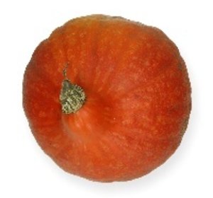 Pompoen Hokkaido +/- 2 kg