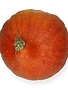Pompoen Hokkaido +/- 2 kg