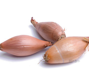 Franse Lange Sjalot (500gr)