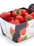 aardbeien extra 500 gr (Belgische)