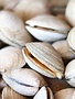 Vongole 1kg