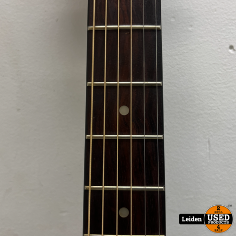 Ibanez Perfomance PF5LG Akoestische Gitaar