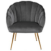 Dany fauteuil loungestoel donkergrijs, messingkleurig.