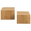 ebuy24 Drue salontafel set van 2 stuks. naturel.