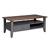 ebuy24 Luzerna salontafel 1 lade, 2 planken grijs.