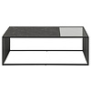ebuy24 Stig salontafel 120x60 cm glas, rookkleurig, zwart marmer decor.