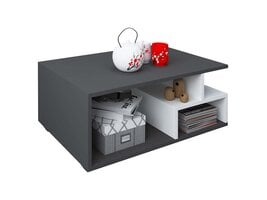 ebuy24 Sulas salontafel 4 planken wit, antraciet.