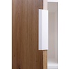 ebuy24 Pepeto wandkast 2 deuren, 2 planken wit, Artisan eik decor.
