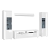 ebuy24 Skylight wandkast systeem 4 delen met licht hoog glans wit, wit, glas grijs.