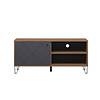 ebuy24 Montez TV-meubel 1 deur, 2 planken, grafiet.