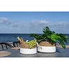 ebuy24 Tanta mand Ã˜22/25cm set van 2 wit,naturel.