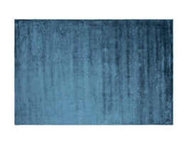 ebuy24 Indra vloerkleed 350x250 cm viscose blauw.