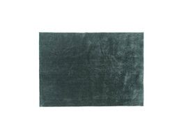 ebuy24 Undra vloerkleed 350x250 cm polyester groen.
