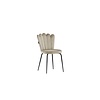 ebuy24 Limhamn eetkamerstoel velours beige.