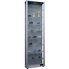 ebuy24 Edana Maxi vitrinekast 1 glazen deur met ledverlichting, glazen vitrinekast met 8 glazen plankenZilverkleurig.