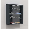 ebuy24 AgisaS glazen vitrines wandmontage 2 schuifdeuren antraciet.