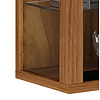 ebuy24 Vitrosa Mini vitrinekast wandhangend met 2 glazen deuren en lichtKernnoten decor.