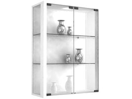 ebuy24 Udina vitrinekast Wandmodel met 2 glazen deuren 2 glazen plankenwit.