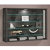 ebuy24 VitrosaL vitrinekast wandmontage 2 glazen deuren antraciet.