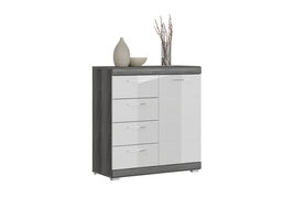 ebuy24 Scout dressoir 1 deur, 4 laden grijs.