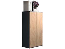 ebuy24 Dalosa3 dressoir 2 deuren antraciet, eik decor.