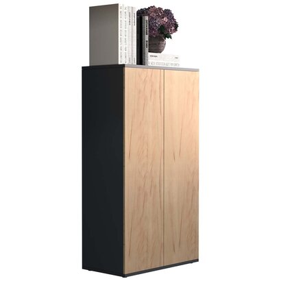 ebuy24 Dalosa3 dressoir 2 deuren antraciet, eik decor.