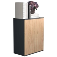 ebuy24 Dalosa2 dressoir 2 deuren antraciet, eik decor.