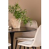 ebuy24 Glade eethoek tafel zwart en 4 Polar stoelen beige.