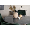 ebuy24 EstelleÃ˜106BLBR eethoek eetkamertafel zwart, marmer en 4 Velvet Deluxe eetkamerstal velours groente, messing decor.